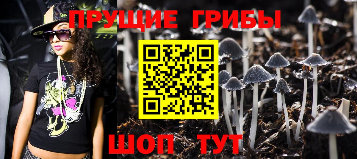 Галлюциногенные грибы Psilocybe Белореченск