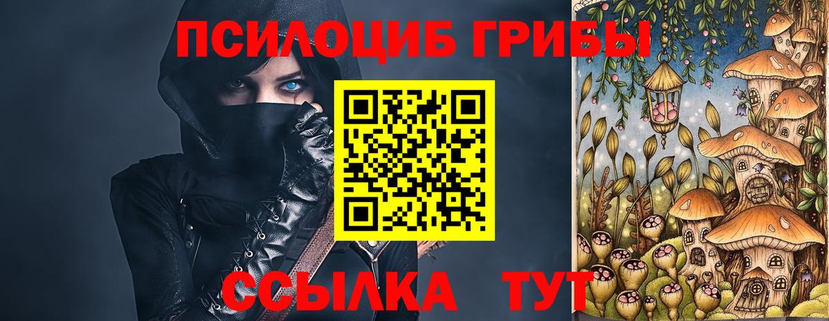 Псилоцибиновые грибы мухоморы  Вход с VPN  как найти закладки  Белореченск  Псилоцибиновые грибы GOLDEN TEACHER 